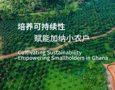 Cultivating Sustainability -- Empowering Smallholders in Ghana