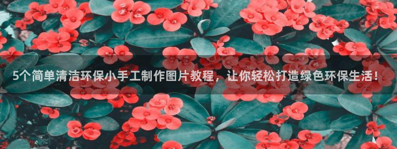 <h1>凯发k8国际(中国)官方网站·一触即发一径科技</h1>5个简单清洁环保小手工制作图片教程，让你轻松打造绿色环保生活！