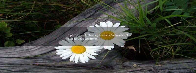 <h1>凯发k8官网登录vip华策影视</h1>Top Eco-Friendly Cleaning Products: Sustainable Choices for a Greener Home